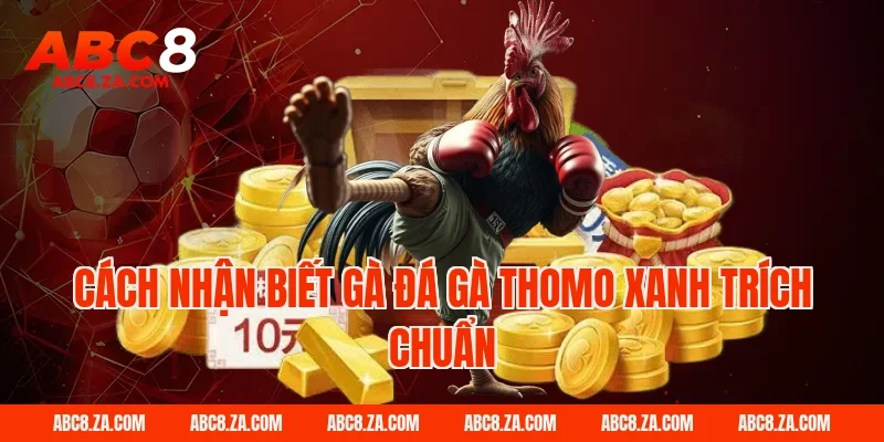 Cách nhận biết gà đá gà thomo xanh trích chuẩn