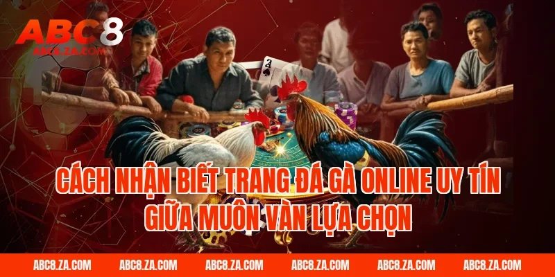 Cách nhận biết trang đá gà online uy tín giữa muôn vàn lựa chọn
