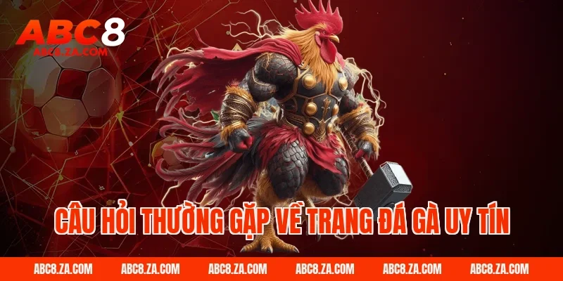 Câu hỏi thường gặp về trang đá gà uy tín