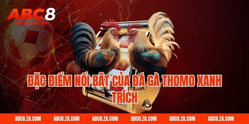 Đặc điểm nổi bật của đá gà thomo xanh trích