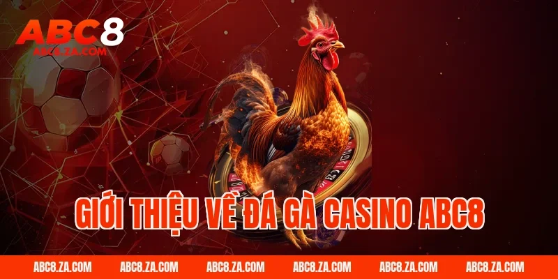 Giới thiệu về đá gà casino ABC8