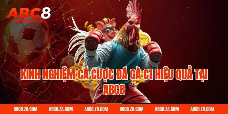Kinh nghiệm cá cược đá gà C1 hiệu quả tại ABC8