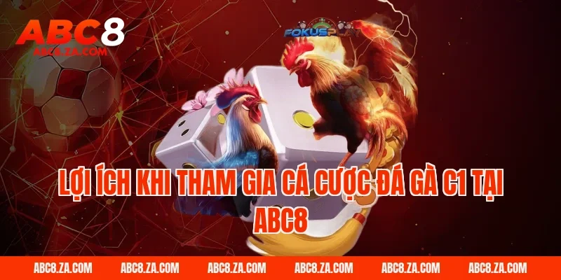 Lợi ích khi tham gia cá cược đá gà C1 tại ABC8