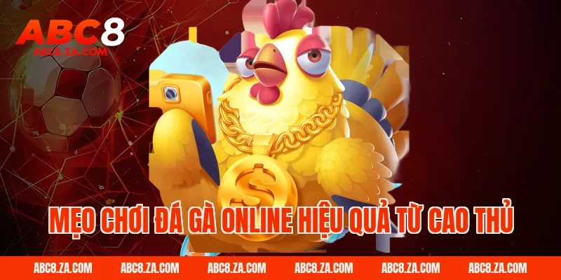 Mẹo chơi đá gà online hiệu quả từ cao thủ