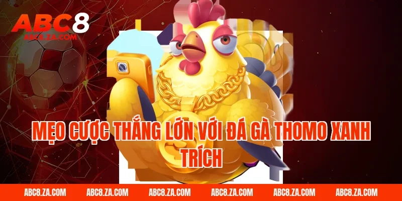 Mẹo cược thắng lớn với đá gà thomo xanh trích