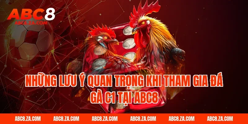 Những lưu ý quan trọng khi tham gia đá gà C1 tại ABC8