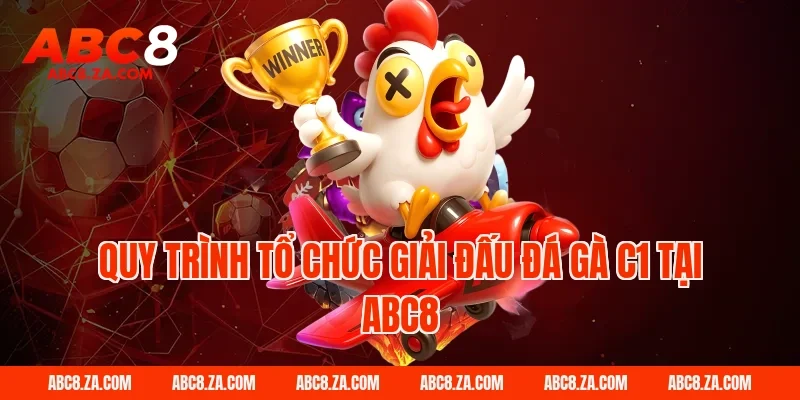 Quy trình tổ chức giải đấu đá gà C1 tại ABC8