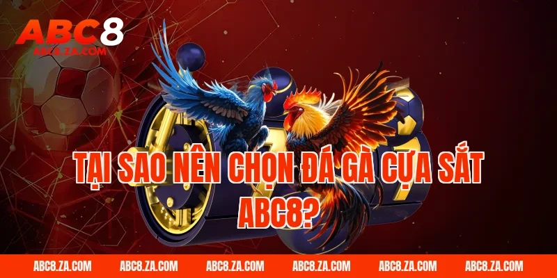 Tại sao nên chọn đá gà cựa sắt ABC8?